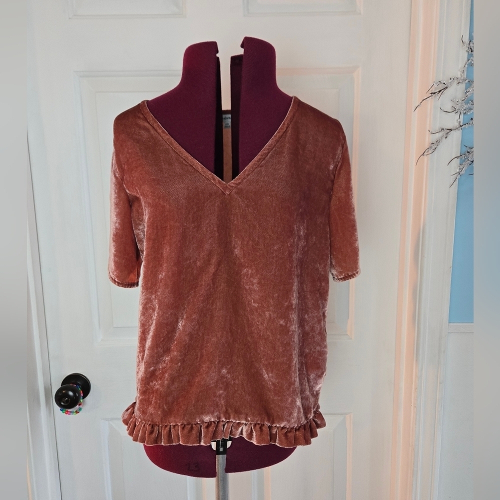 Madewell XXS Dusty Pink Velvet Tulip Sleeve Ruffle Top